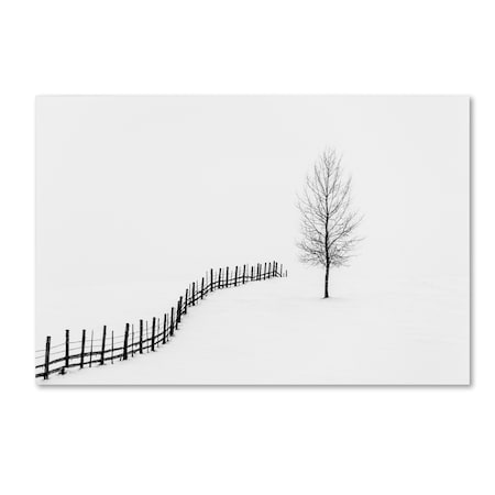Trademark Fine Art Sveduneac Dorin Lucian 'S I L E N C E' Canvas Art, 16x24 1X01064-C1624GG